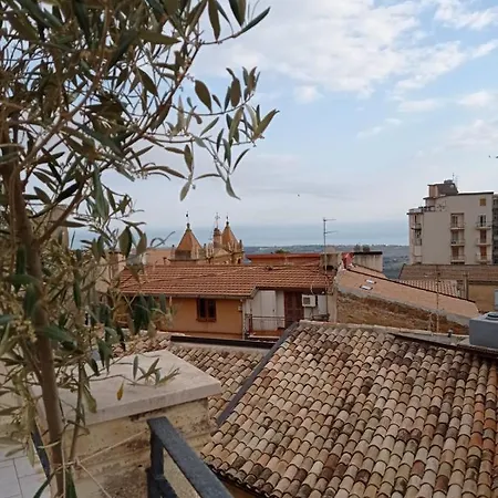 Guest house La Sinfonia Di.kerkent 3*